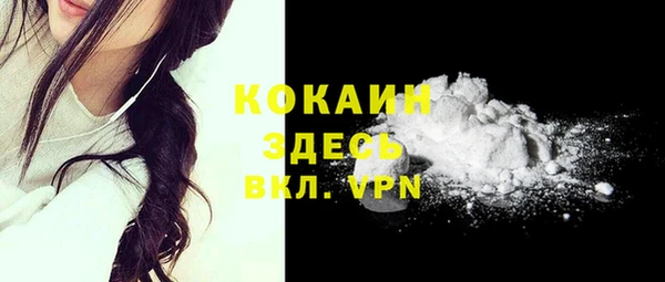 ALPHA PVP Каменка