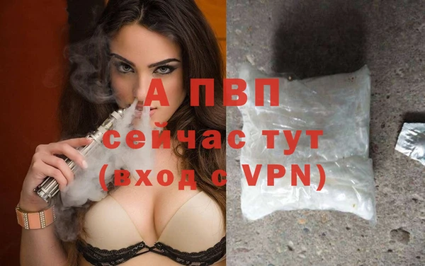 эйфоретик Каменногорск