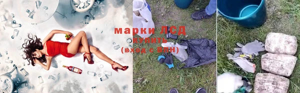 ALPHA PVP Каменка