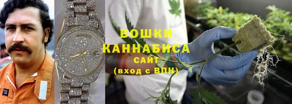ALPHA PVP Каменка