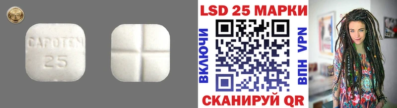 Купить закладки  Приозерск  LSD-25 экстази кислота 