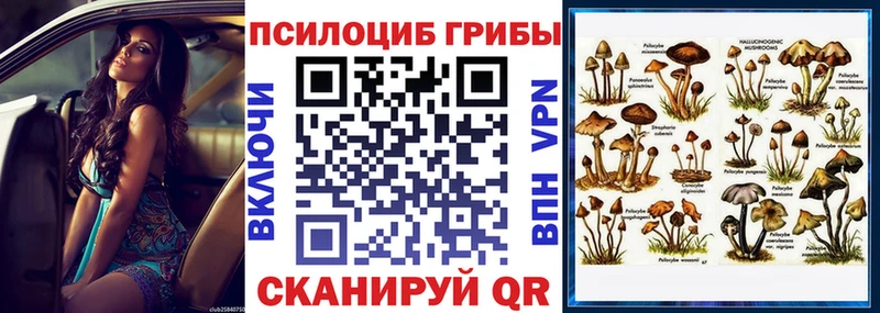 Галлюциногенные грибы Psilocybine cubensis  Купить закладки  Приозерск 